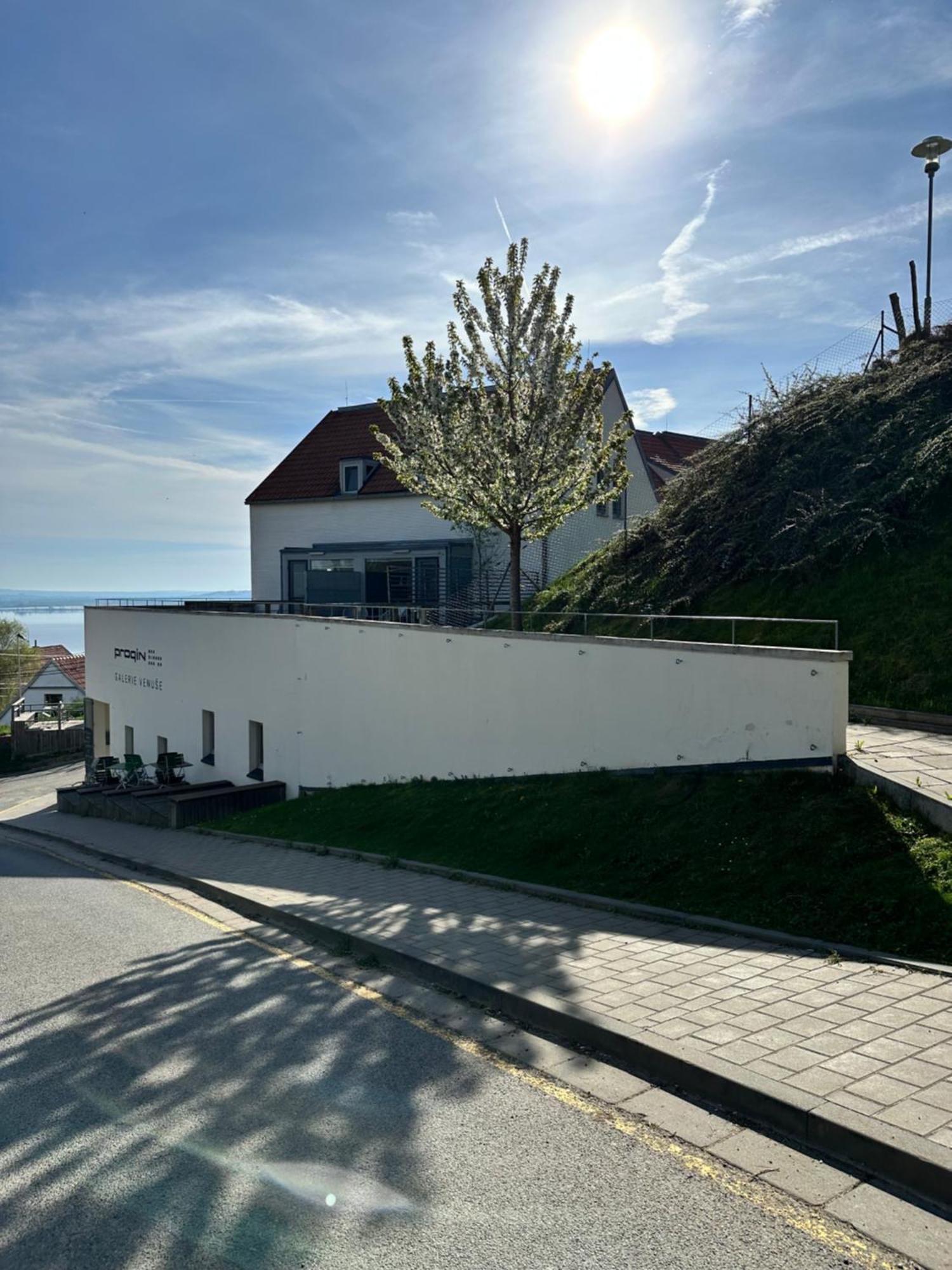 Apartman U Venuse Pavlov Exterior photo